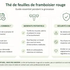 Guide sur le thé de feuilles de framboisier rouge : quand le boire, ses bienfaits potentiels et les précautions à prendre pendant la grossesse.