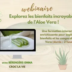 Webinaire sur les incroyables aloe vera bienfaits. Gel frais d'aloe vera sur des tranches. Formation interactive de 2h.