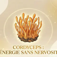 Illustration d'un cordyceps, champignon aux multiples cordyceps bienfaits pour une énergie naturelle et sans nervosité.