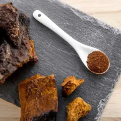 Morceaux de chaga brut et en poudre sur une ardoise, évoquant les nombreux chaga bienfaits pour la santé.