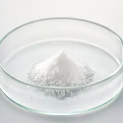 Poudre blanche de d-mannose dans une boîte de Pétri, prête pour une expérience scientifique.