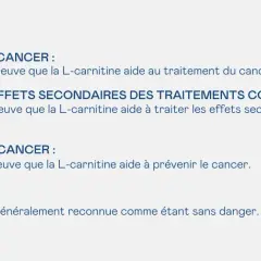 La L-carnitine n'aide pas au traitement, à la prévention ou à l'atténuation des effets secondaires du cancer. Elle est reconnue comme sans danger.