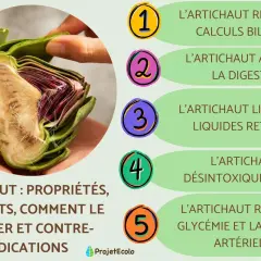 Un artichaut coupé en deux, révélant ses feuilles violettes et son cœur. L'image liste ses bienfaits : digestion, détox, etc. L'artichaut mérite toute votre attention !