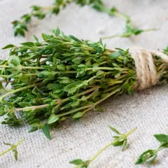 Un bouquet de thym frais, noué avec de la ficelle, prêt pour une inhalation réconfortante.