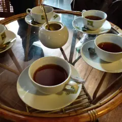Tasses de thé Ceylan, parfaites pour profiter de leurs bienfaits.