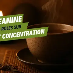 Une tasse de thé fumante, avec le texte "La théanine, ses rôles sur calme et concentration".