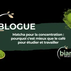 Le matcha, idéal pour la concentration : découvrez pourquoi boire du matcha est mieux que le café pour étudier et travailler.