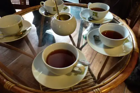 Tasses de thé Ceylan, parfaites pour profiter de leurs bienfaits.