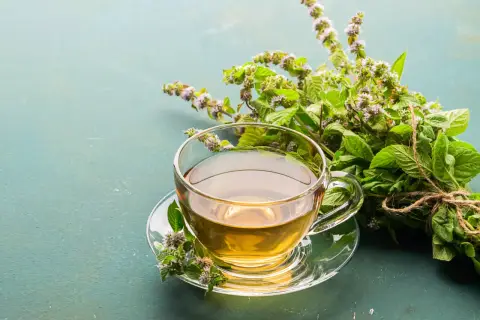 Une tasse de tisane dorée, prête à être dégustée, avec un bouquet de menthe fraîche. Le temps infusion tisane est parfait.