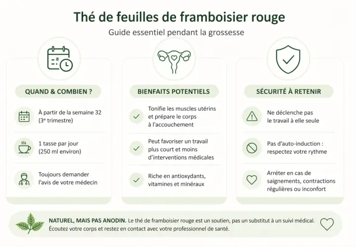Guide sur le thé de feuilles de framboisier rouge : quand le boire, ses bienfaits potentiels et les précautions à prendre pendant la grossesse.