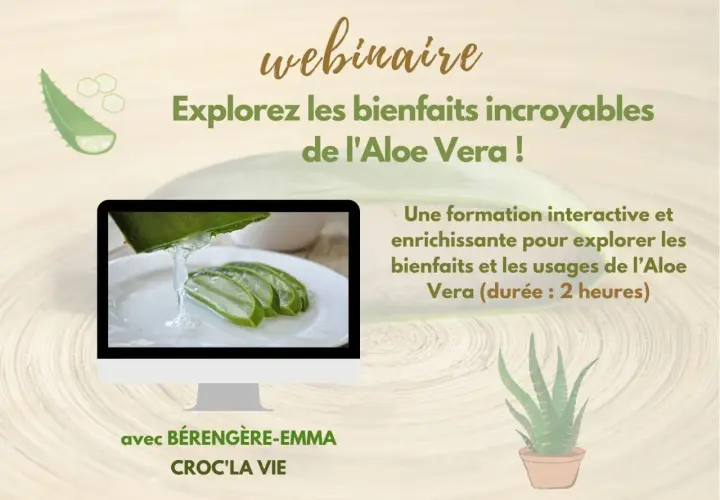 Webinaire sur les incroyables aloe vera bienfaits. Gel frais d'aloe vera sur des tranches. Formation interactive de 2h.