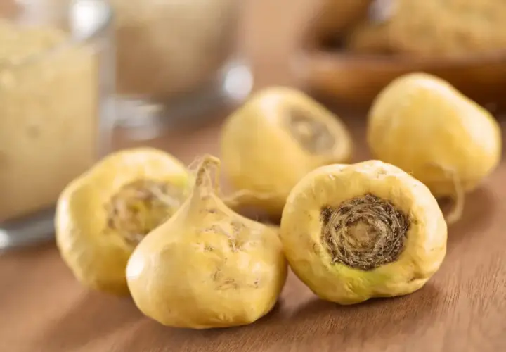 Cinq racines de maca jaunes, entières et séchées, reposent sur une surface en bois.