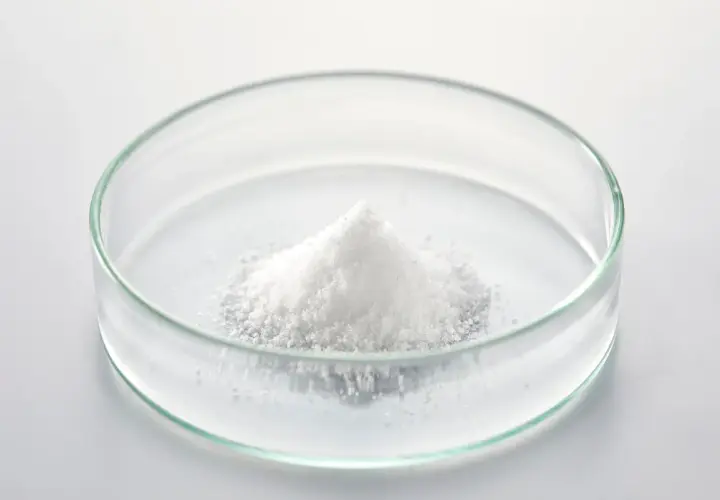 Poudre blanche de d-mannose dans une boîte de Pétri, prête pour une expérience scientifique.