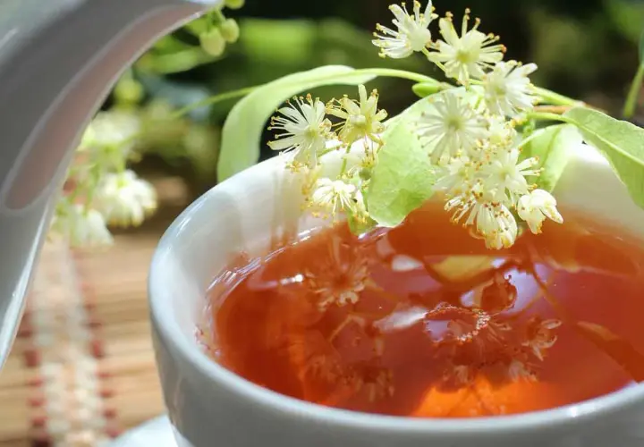 Une tasse de thé ambré, garnie de fleurs de tilleul, parfaite pour une infusion digestion.
