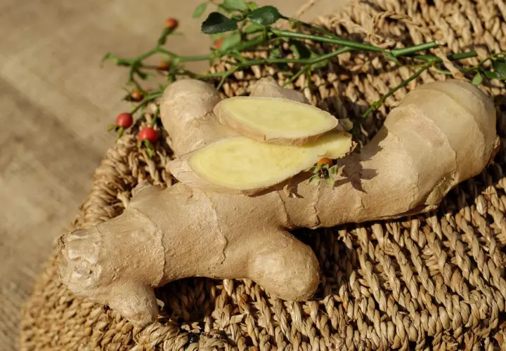 Gingembre frais tranché, prêt à être infusé avec du ginseng pour une boisson revigorante.