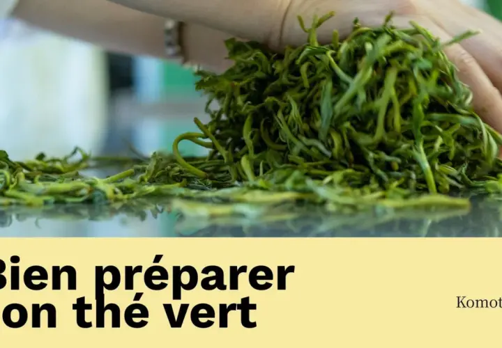 Des feuilles de thés verts fraîchement récoltées, prêtes à être infusées pour un moment de détente.