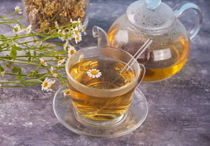 Une tasse de thé à la camomille matricaire, une théière en verre et des fleurs fraîches sur fond texturé.