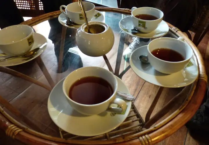 Tasses de thé Ceylan, parfaites pour profiter de leurs bienfaits.