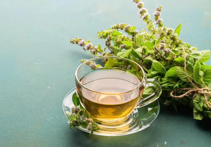 Une tasse de tisane dorée, prête à être dégustée, avec un bouquet de menthe fraîche. Le temps infusion tisane est parfait.