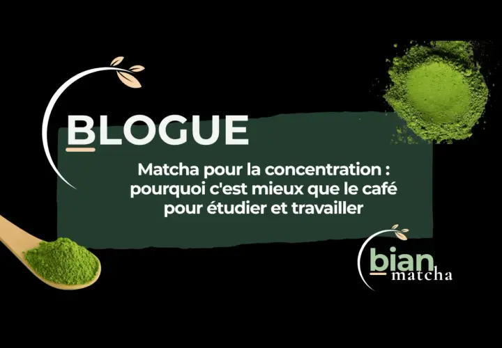 Le matcha, idéal pour la concentration : découvrez pourquoi boire du matcha est mieux que le café pour étudier et travailler.