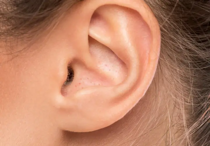 Gros plan sur une oreille humaine, montrant des pores et un petit point noir dans le conduit auditif.