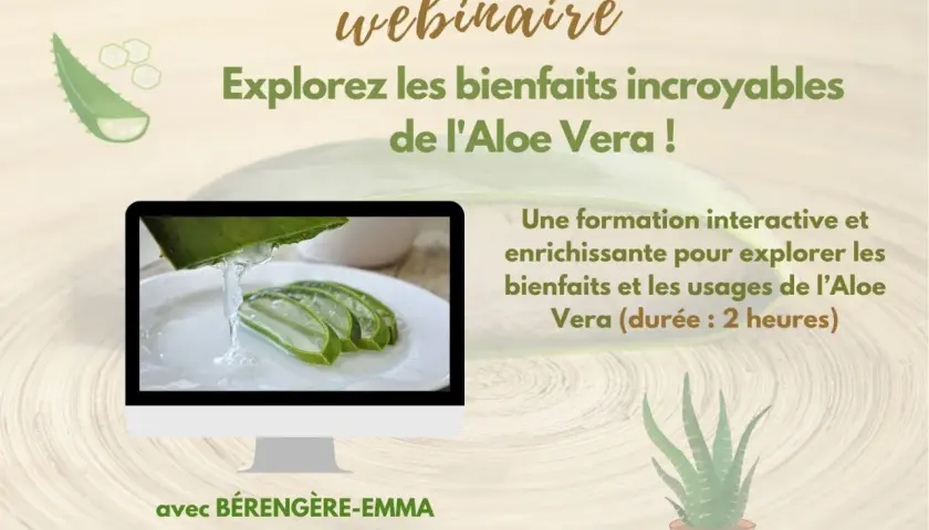 Webinaire sur les incroyables aloe vera bienfaits. Gel frais d'aloe vera sur des tranches. Formation interactive de 2h.