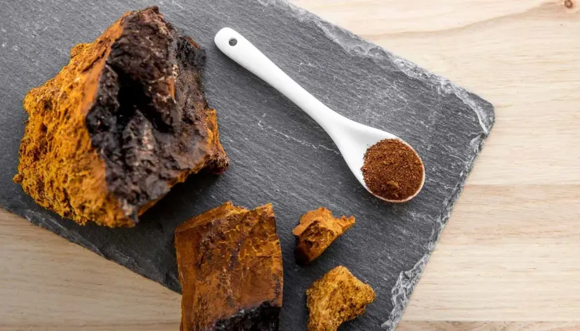 Morceaux de chaga brut et en poudre sur une ardoise, évoquant les nombreux chaga bienfaits pour la santé.