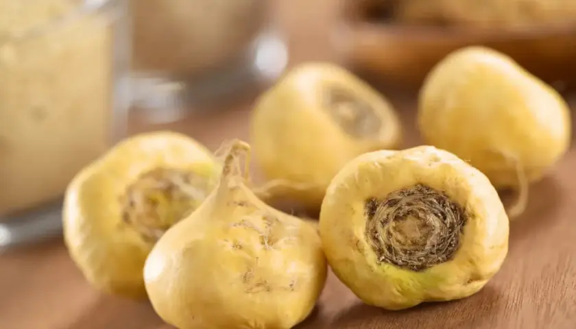 Cinq racines de maca jaunes, entières et séchées, reposent sur une surface en bois.