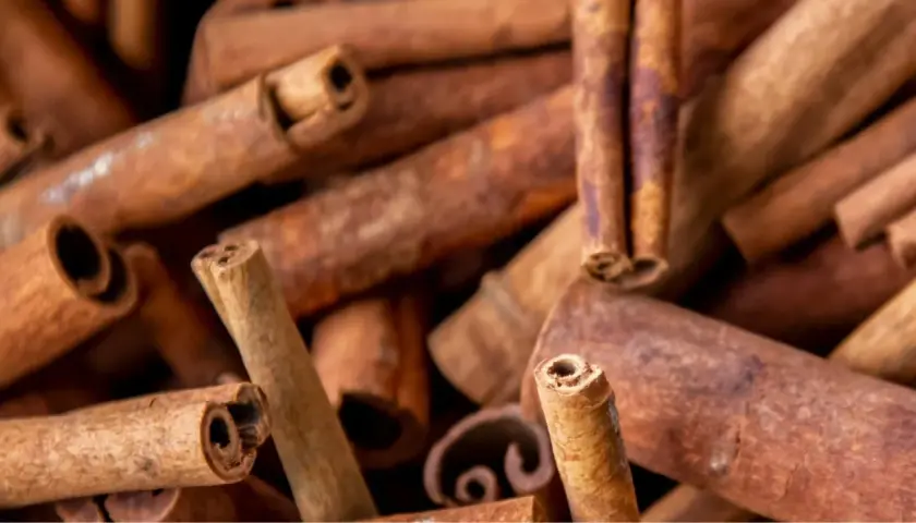 Gros plan sur des bâtons de cannelle, rappelant les dangers de la cannelle en cas de surconsommation.