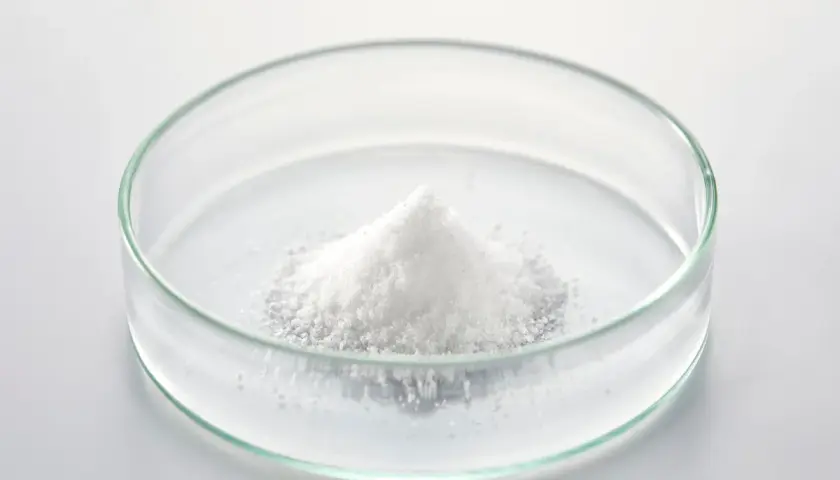 Poudre blanche de d-mannose dans une boîte de Pétri, prête pour une expérience scientifique.