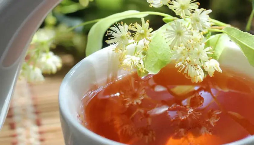 Une tasse de thé ambré, garnie de fleurs de tilleul, parfaite pour une infusion digestion.