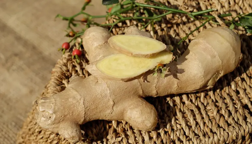 Gingembre frais tranché, prêt à être infusé avec du ginseng pour une boisson revigorante.