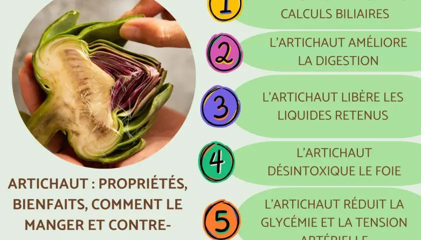 Un artichaut coupé en deux, révélant ses feuilles violettes et son cœur. L'image liste ses bienfaits : digestion, détox, etc. L'artichaut mérite toute votre attention !