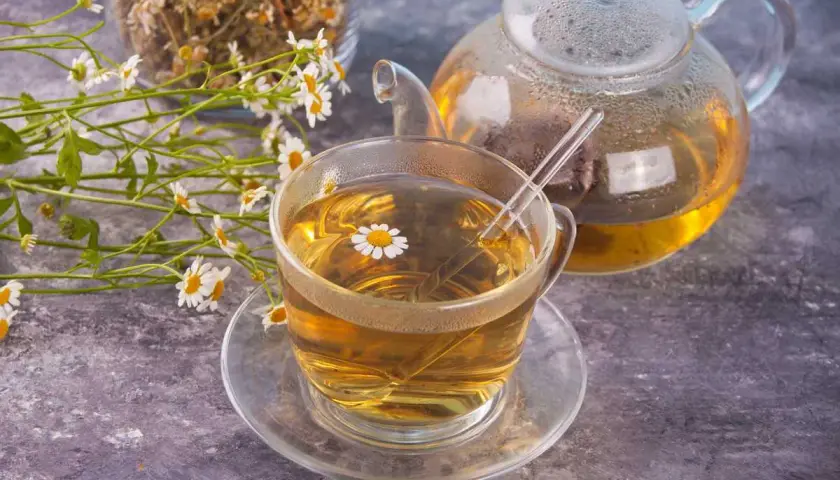 Une tasse de thé à la camomille matricaire, une théière en verre et des fleurs fraîches sur fond texturé.