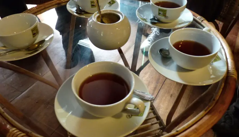 Tasses de thé Ceylan, parfaites pour profiter de leurs bienfaits.