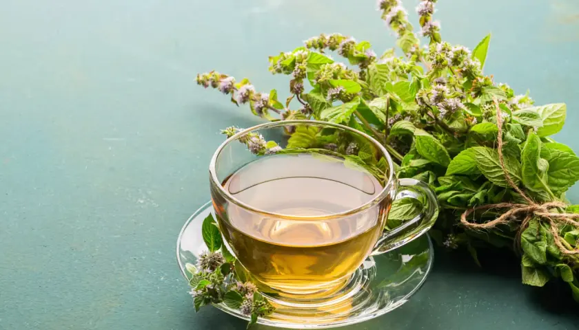 Une tasse de tisane dorée, prête à être dégustée, avec un bouquet de menthe fraîche. Le temps infusion tisane est parfait.