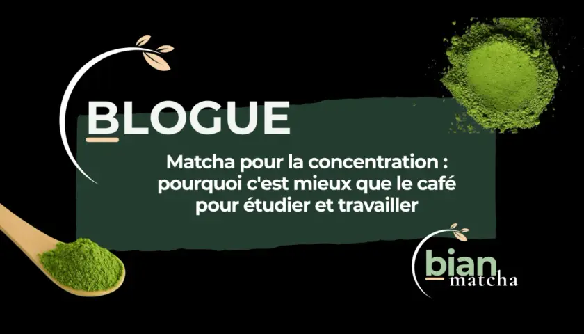 Le matcha, idéal pour la concentration : découvrez pourquoi boire du matcha est mieux que le café pour étudier et travailler.