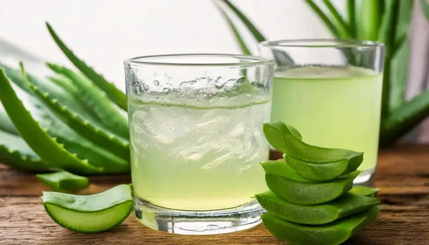Deux verres de jus d'aloe vera à boire, entourés de feuilles d'aloe vera fraîches et de morceaux coupés.