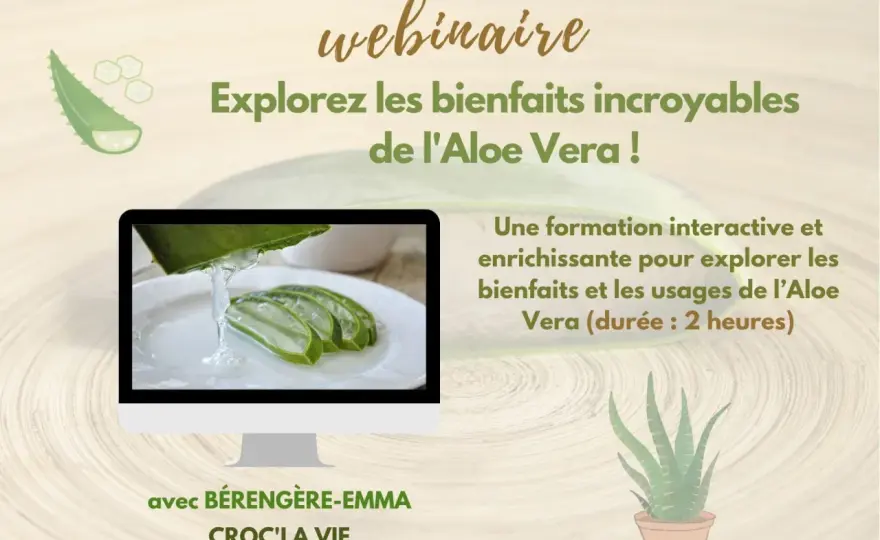 Aloe vera - Vrais bienfaits, usages et précautions à connaître