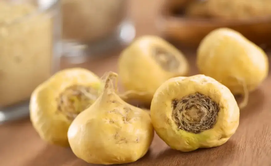 Maca - Vrais effets, choix et précautions. Le guide complet.