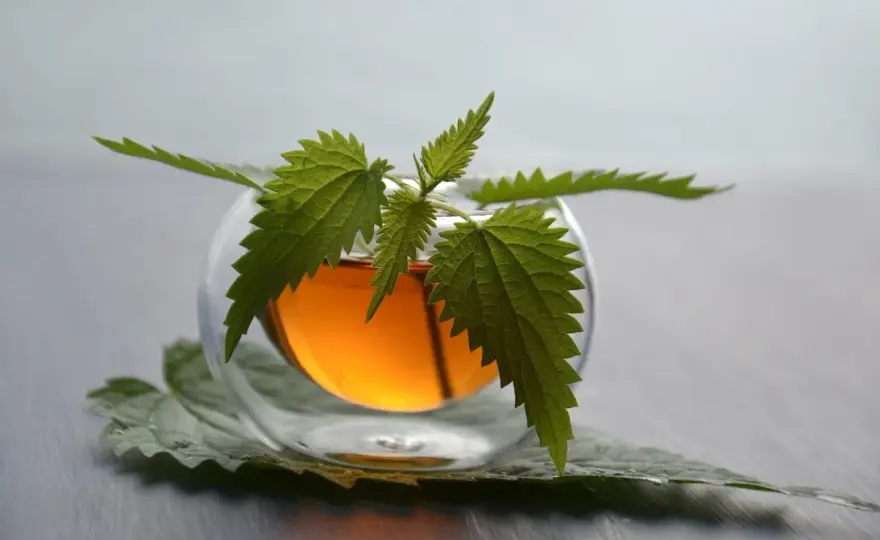 Somnifère naturel - Lequel choisir pour mieux dormir ?