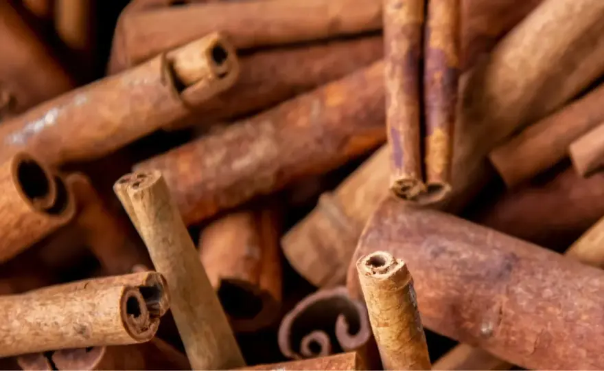 Cannelle - Dangers et précautions d'emploi : le guide complet