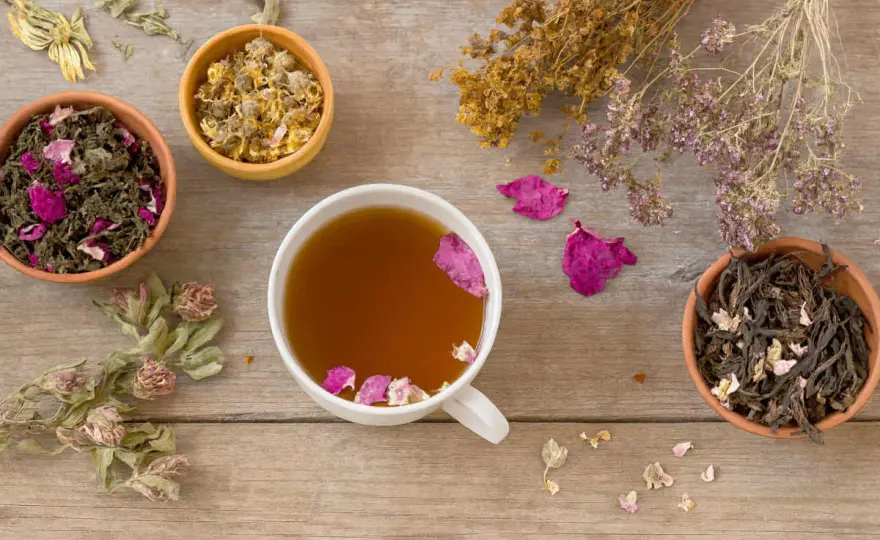 Nausée - Quelle infusion choisir (et éviter) pour vous soulager?