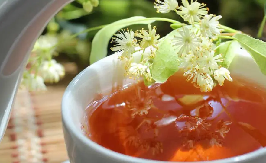Infusion digestion - Choisissez la bonne plante pour votre ventre