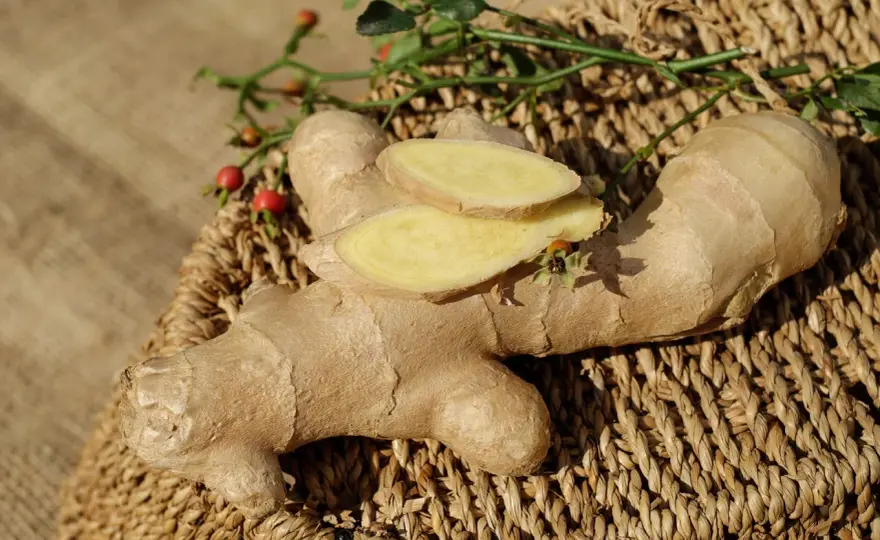Ginseng Gingembre - Vraiment efficace ? Guide complet