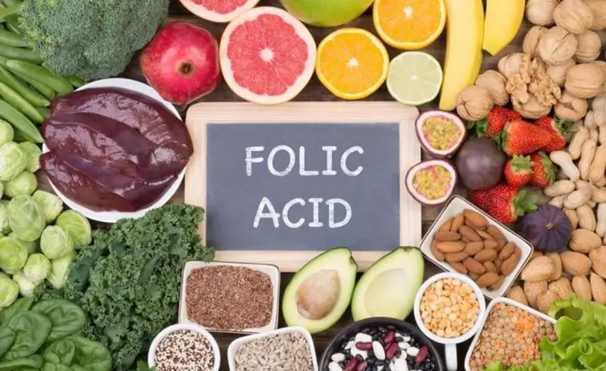 Vitamine B9 (acide folique) - Vrais bénéfices et bonnes pratiques
