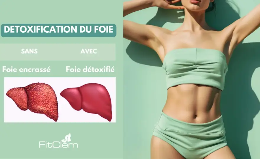 Desmodium - Vrai soutien pour le foie ou simple tendance?
