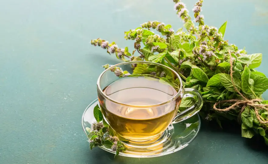 Tisane parfaite - Durées d'infusion par plante