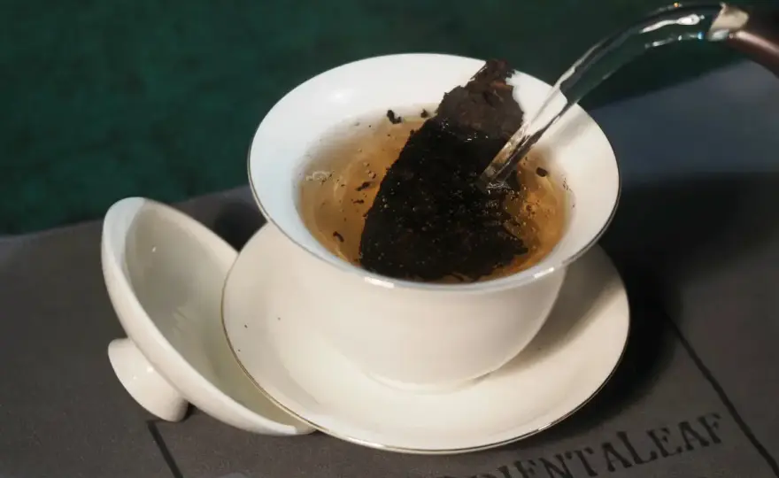 Thé Pu-erh - Vrais bienfaits et comment bien l'infuser ?