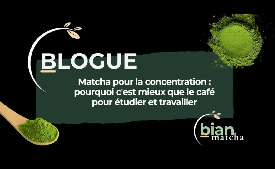 Matcha: Vrais Bénéfices, Énergie et Concentration - Guide Complet